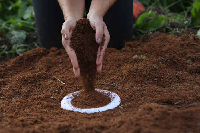 How-to-Plant-the-biodegradable-urn-Bios-Urn-Instructions-3