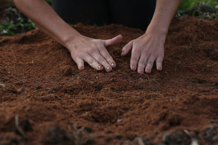 How-to-Plant-the-biodegradable-urn-Bios-Urn-Instructions-5